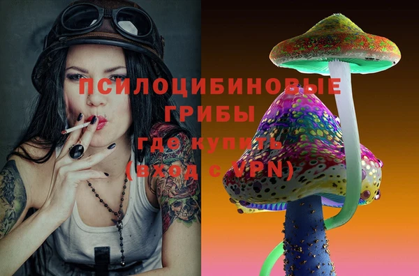 трава Лабытнанги