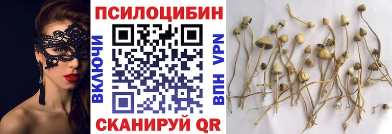 как найти закладки  это официальный сайт  hydra сайт  Галлюциногенные грибы MAGIC MUSHROOMS  Арсеньев 