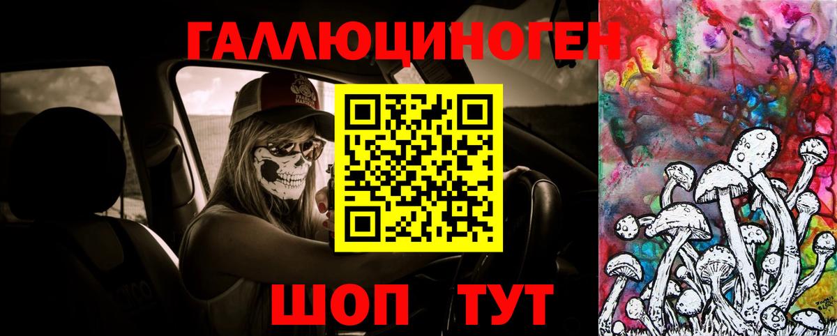 Галлюциногенные грибы прущие грибы Арсеньев