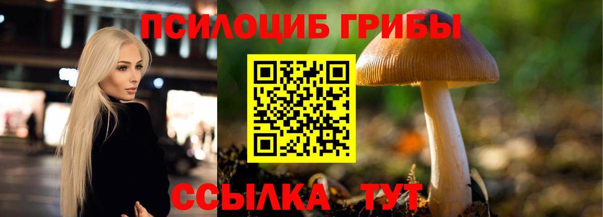 Галлюциногенные грибы Magic Shrooms  купить   Арсеньев  Вход с VPN 